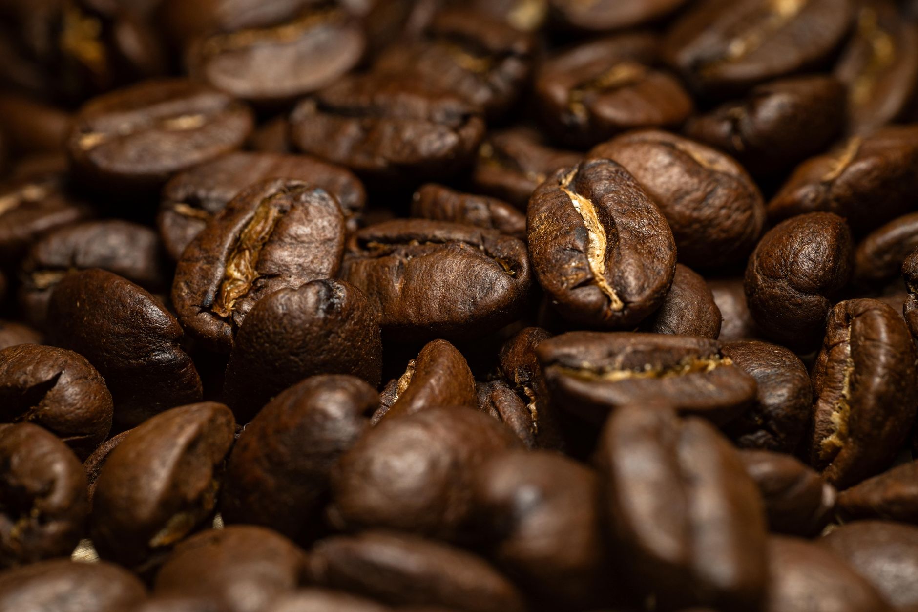 Single Origin Kaffeebohnen